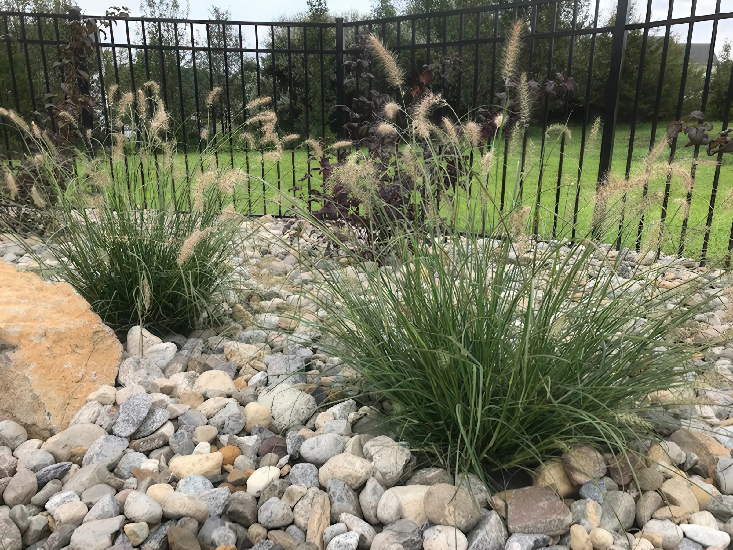 grasses-rock-garden