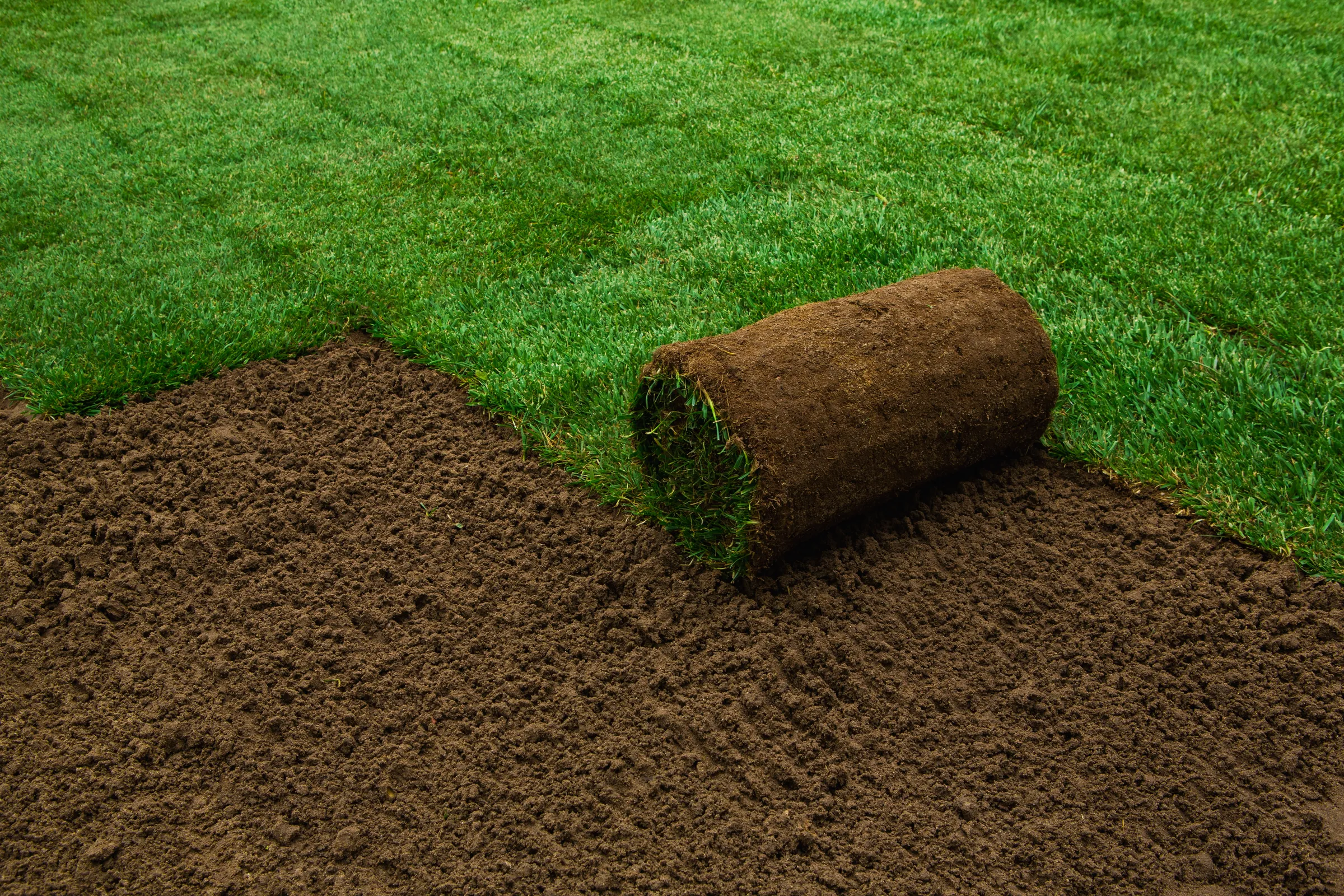 turf-rolls-sod-2147130191